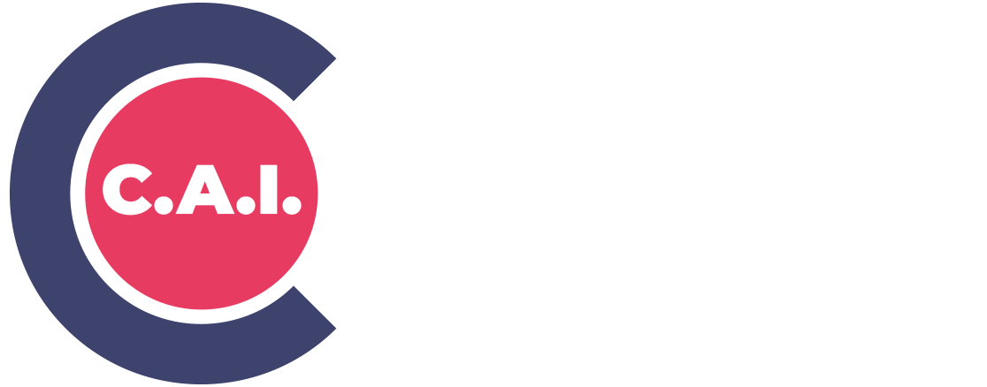 Centrale Anagrafica Imprese
